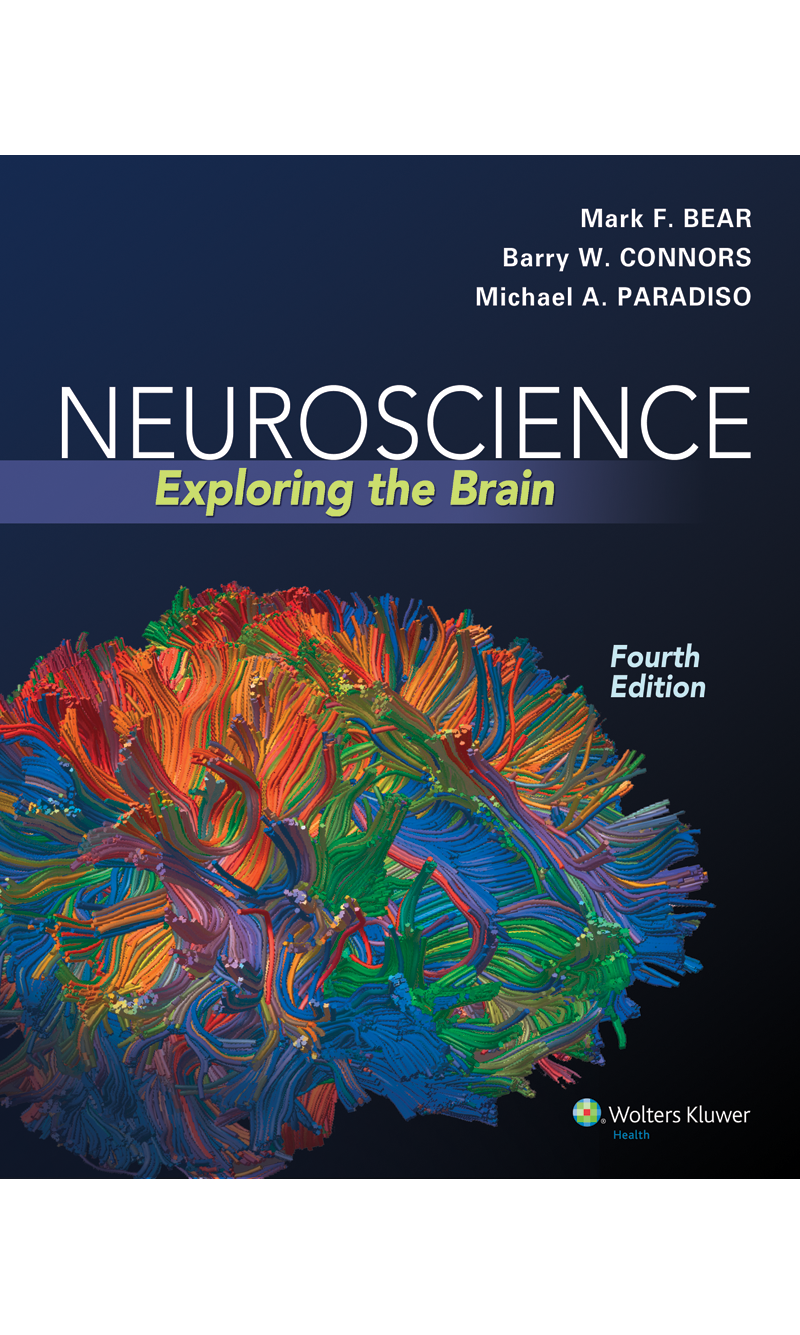 Bear Neuroscience: Exploring the Brain Fourth Edition 9780781778176